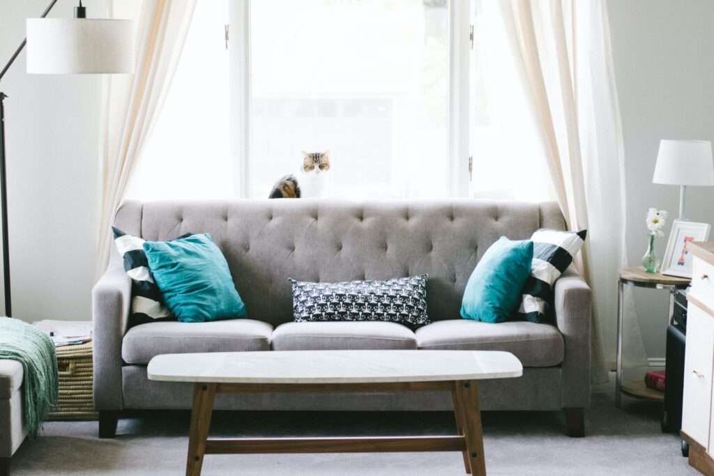 how to clean your couch perfectly