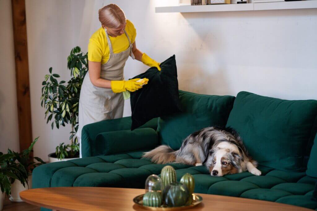 woman cleaning and vacuuming her sofa while her dog is lying watching