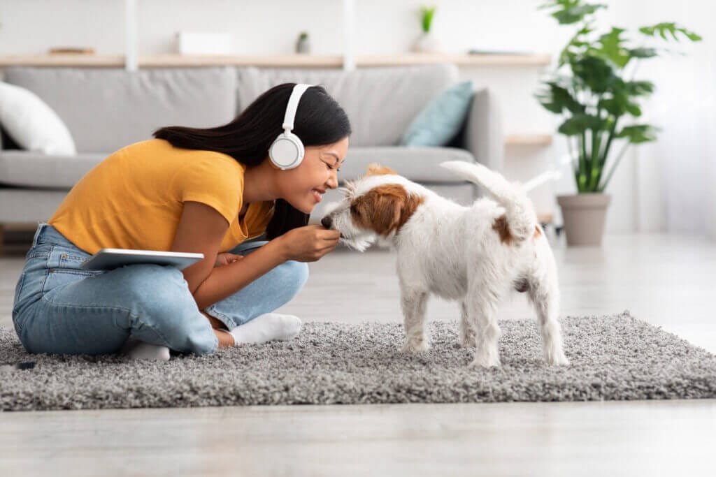Woman listening to music on the carpet at home while smiling and playing with her little dog