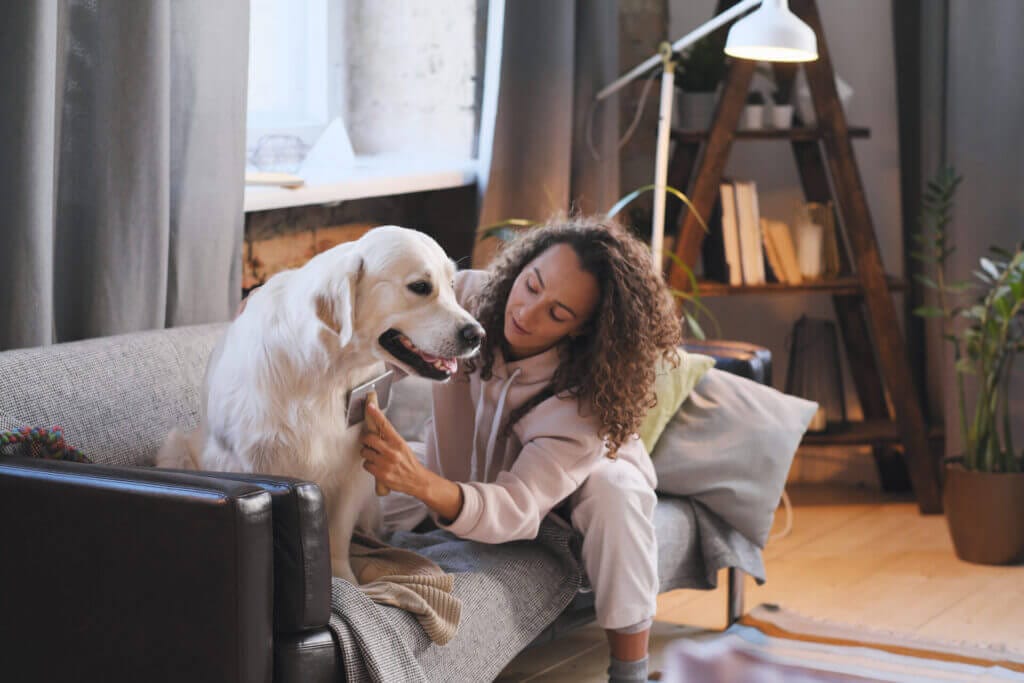 Woman caring and caressing her dog on the sofa in the living room
